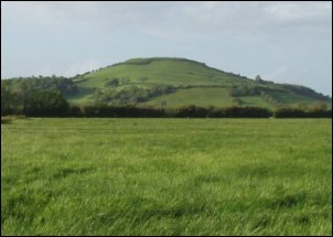 Brent Knoll