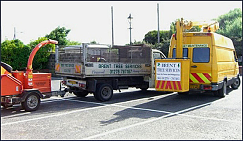brent-tree-services