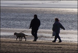 Dog walkers on Burnham-On-Sea beach
