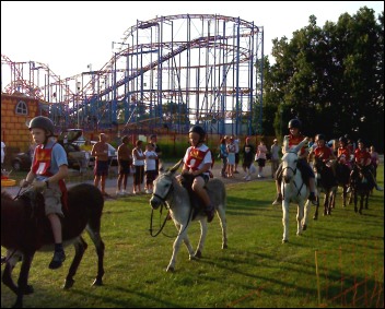 A donkey derby was also held at Brean Leisure Park on Tuesday night July 18th [Photo: Contributed]