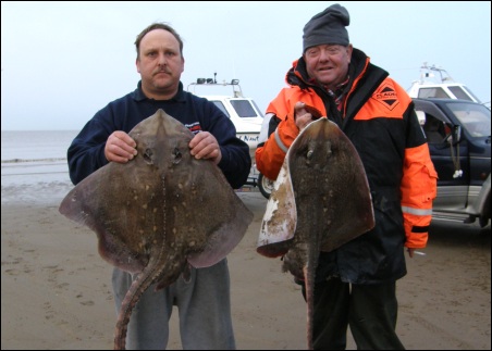 John Chin (right) won second place for his 15lb 3oz Thornback Ray, while fourth spot was claimed by Wayne Latham (left) with a 13lb 12oz Ray.