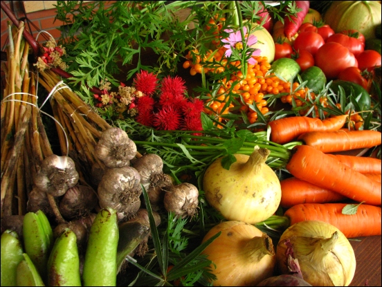 harvest-food.jpg