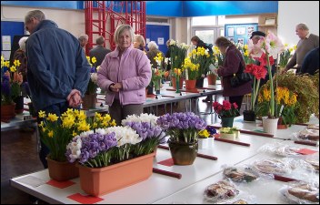 A steady flow of visitors came to see the entries at Burnham's Spring Horticultral Show