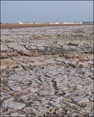 Evaporated water has left dried salt on the mudflats
