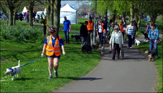 mutt-strut-3.jpg