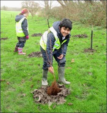 New orchard takes shape at Highbridge's Apex Park with pupils' help