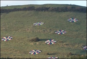 Brent Knoll