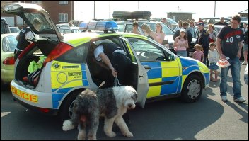 The dog is led to the police car after the incident