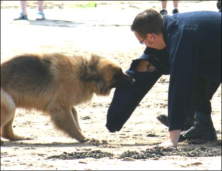 A police dog sinks his teeth into PCSO Stuart Nichols of Burnham Police.