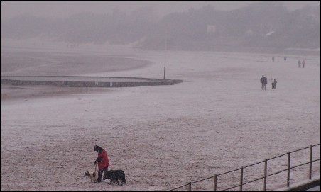 Walkers on Burnham beach during the snow storm
