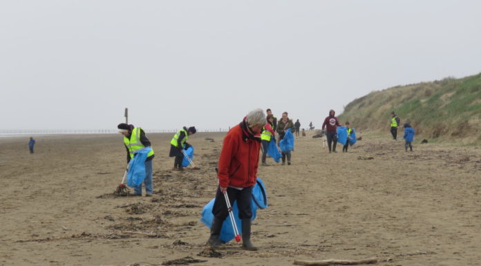 berrow beach clean