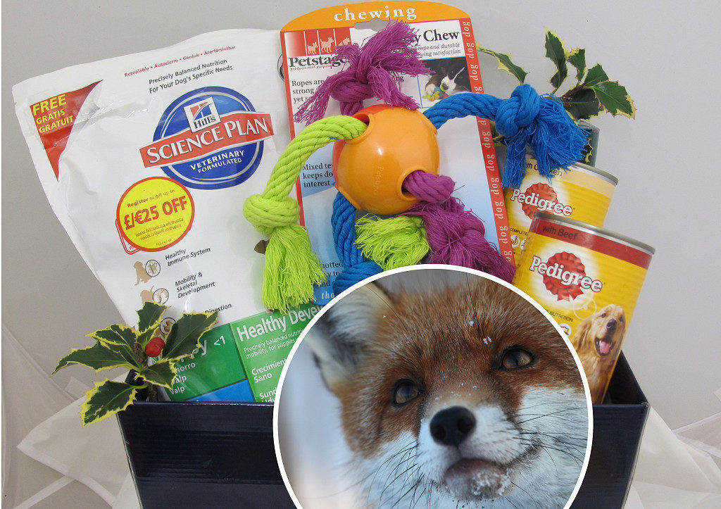 Help wildlife this winter by donating shoeboxes filled with food and toys for Secret World Wildlife Rescue near Burnham-On-Sea