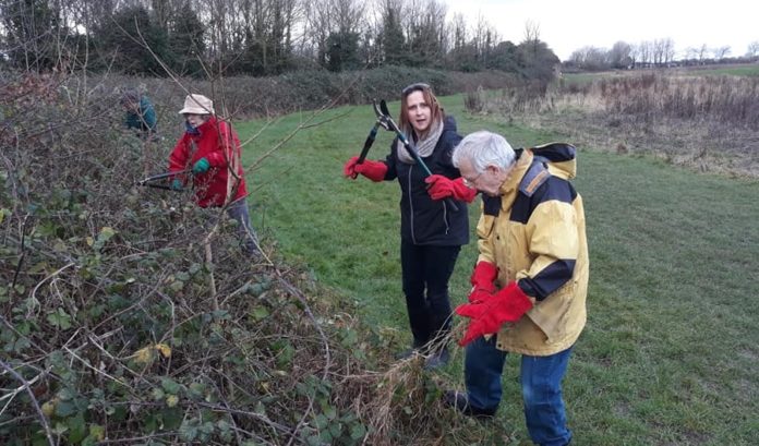 apex park clearance