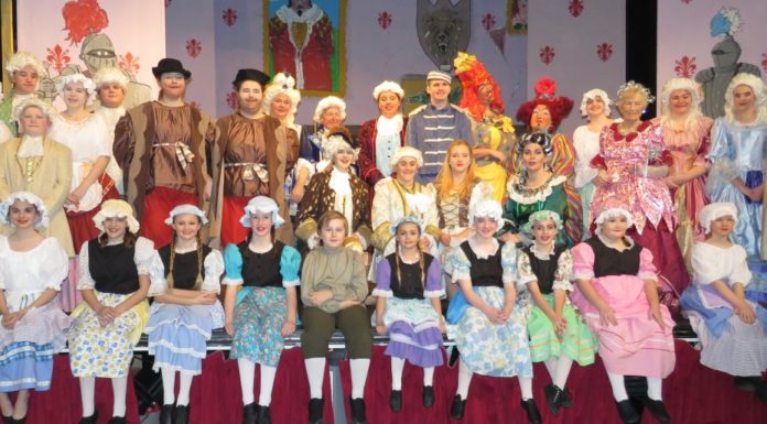 cinderalla pantomime
