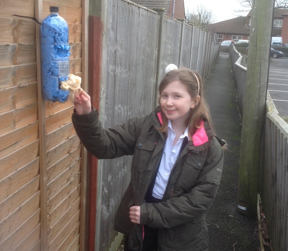 Poo bags dispenser Burnham-On-Sea