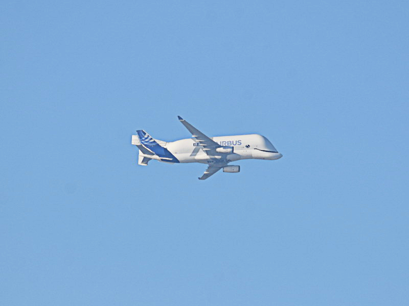 BelugaXL seen from Burnham (Photo: Yak)