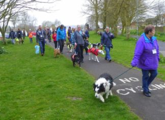 RSPCA Mutt Strutt at Apex Park, Highbridge