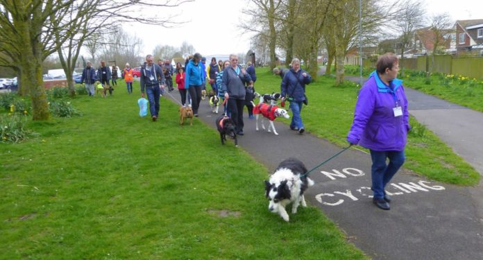 RSPCA Mutt Strutt at Apex Park, Highbridge