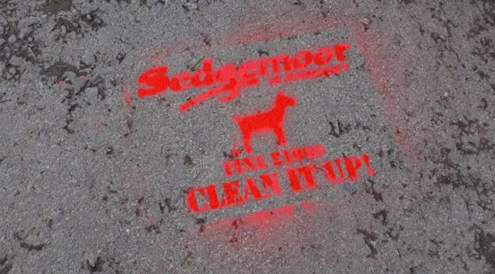 apex park dog fouling campaign 1