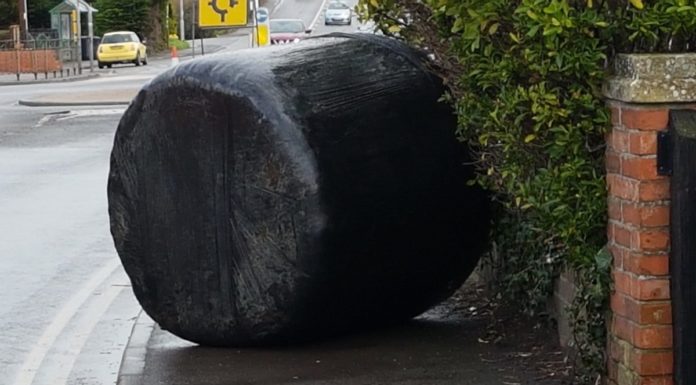 Hay bale in Church Street, Highbridge