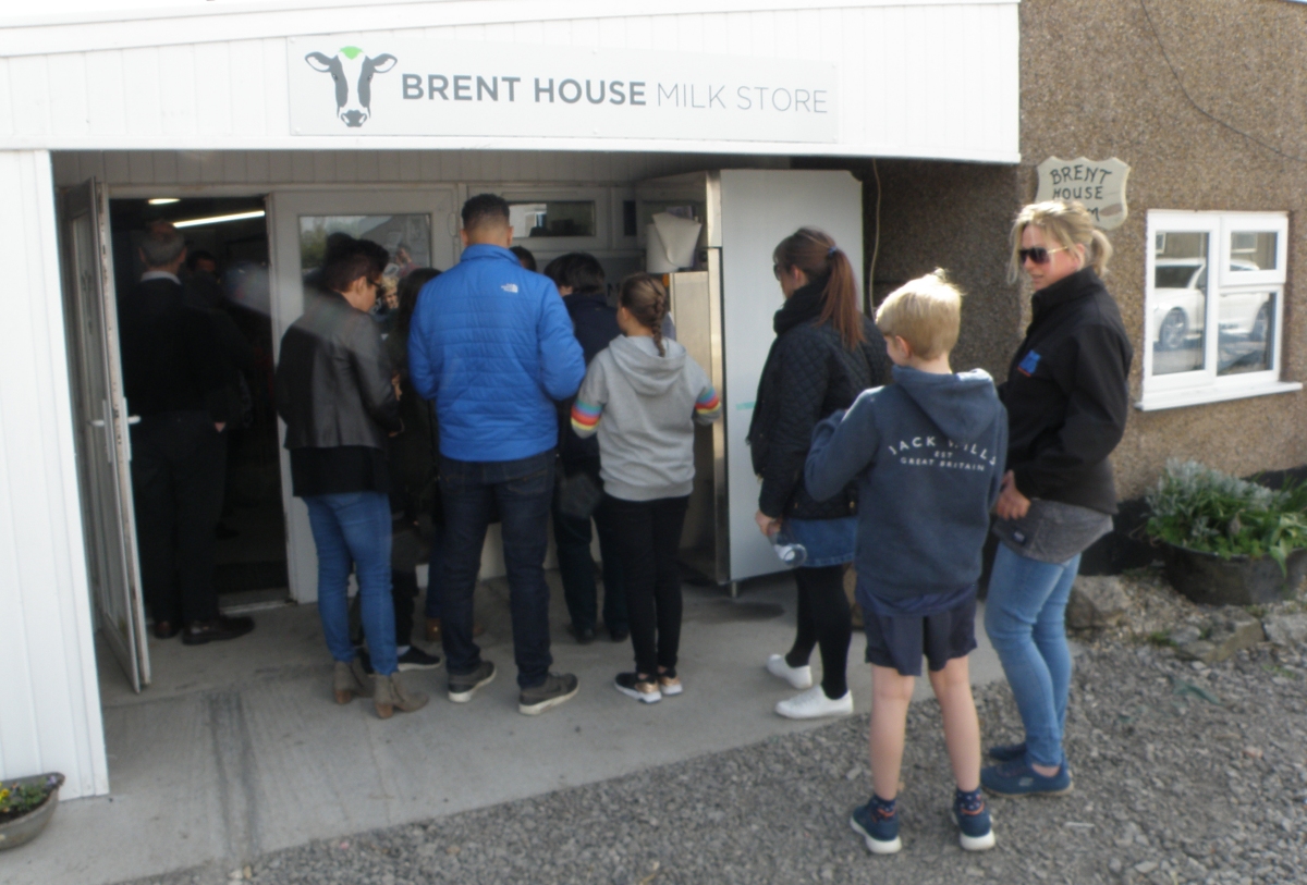 Milk vending machine 