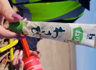 Japanese plastic litter washed up on Berrow Beach