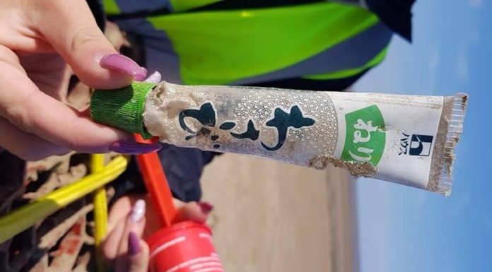 Japanese plastic litter washed up on Berrow Beach