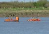 Combwich river bank incident