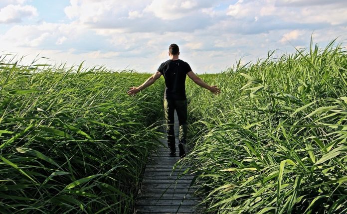 nature walk