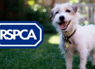 RSPCA