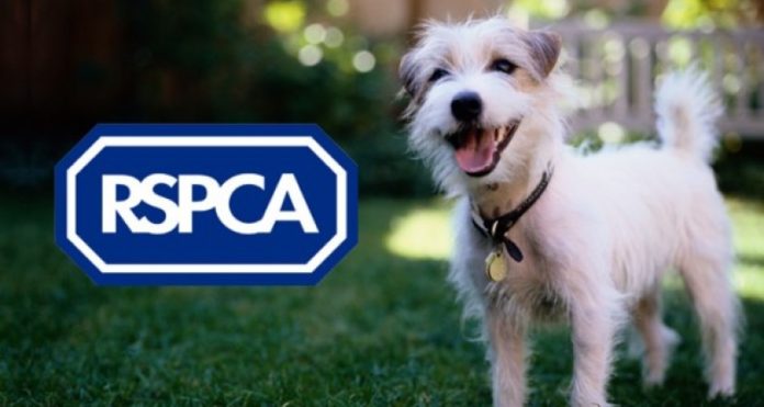 RSPCA