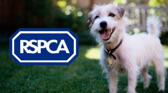 RSPCA
