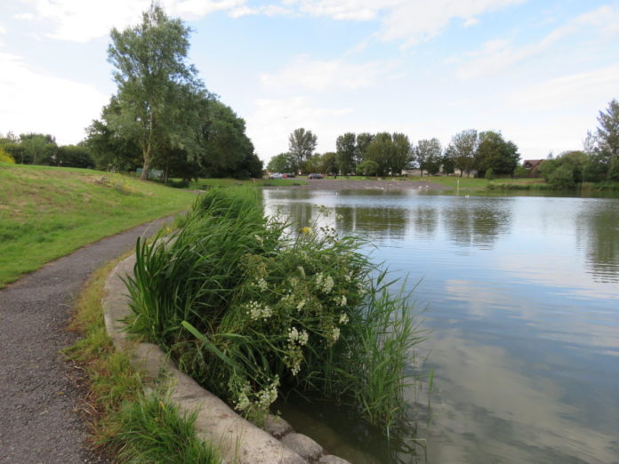 Apex Park in Highbridge