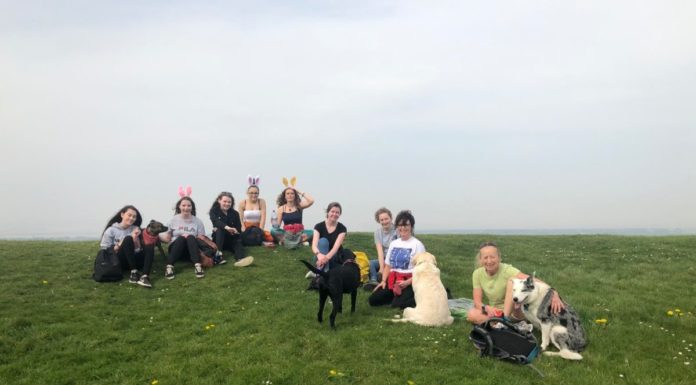 ICM children on Brent Knoll