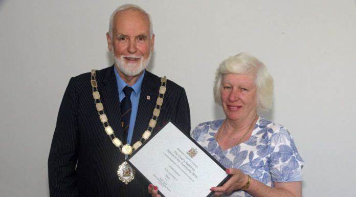Somerset community award