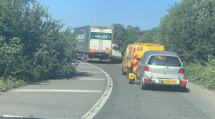 M5 hedges overgrown Burnham-On-Sea