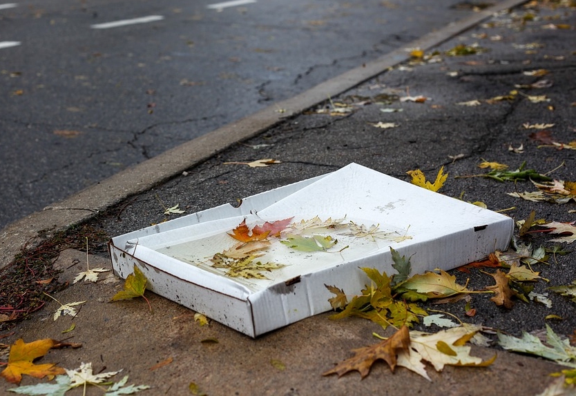 litter fines burnham-on-sea