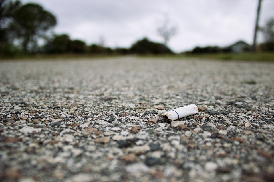 litter fines burnham-on-sea