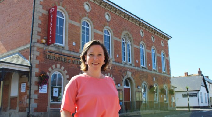 Beccy Armory Burnham-On-Sea Princess Theatre Business Development Officer