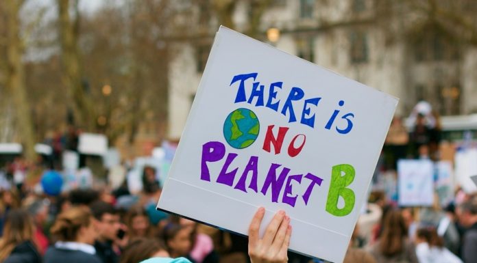 Somerset’s Climate Emergency strategy