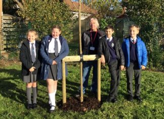 Tree unveiling at Burnham-On-Sea's St Andrew's School