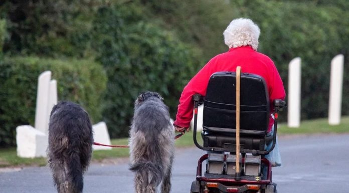mobility scooter