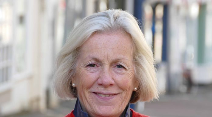 Tessa Munt Liberal Democrat candidate