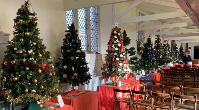 Burnham-On-Sea Christmas tree festival 2019