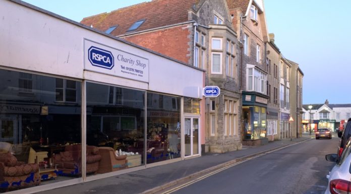 Burnham-On-Sea RSPCA shop