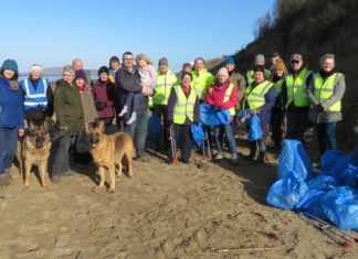 friends of berrow beach