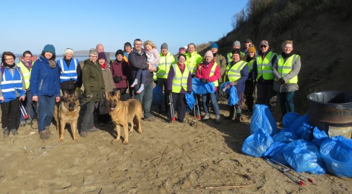 friends of berrow beach