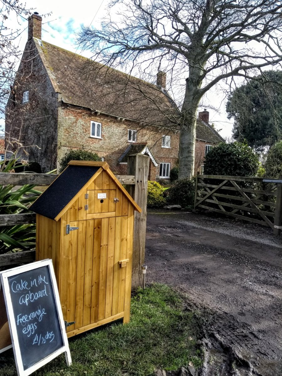 Cake cupboard at Wick Farm, Brean Road, Lympsham 