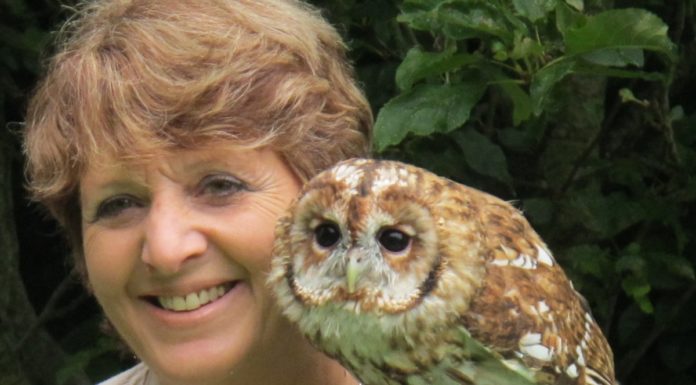 Pauline Kidner, founder of Secret World Wildlife Rescue