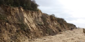 Berrow Beach sand dunes